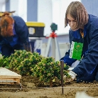 Региональный этап Чемпионата по профессиональному мастерству «Профессионалы» - 2024 в Кузбассе