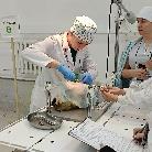 Региональный этап чемпионата по профессиональному мастерству «Профессионалы» в Кузбассе